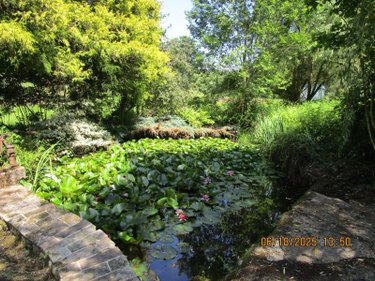 propriete a vendre La Lanterne-et-les-Armonts 70270 Haute-Saône 223 m2 9 pièces 396000 euros