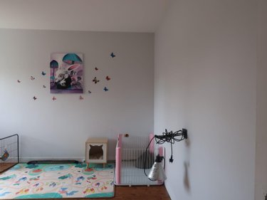 Location maison Médréac 35360 Ille-et-Vilaine 142 m2 5 pièces 770 euros