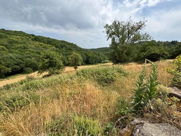 propriete a vendre Le Bourg 46120 Lot 460 m2  188400 euros