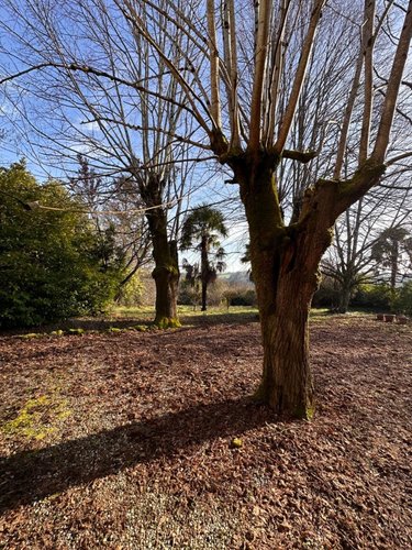 Maison a vendre Le Tourne 33550 Gironde 435 m2 15 pièces 400000 euros