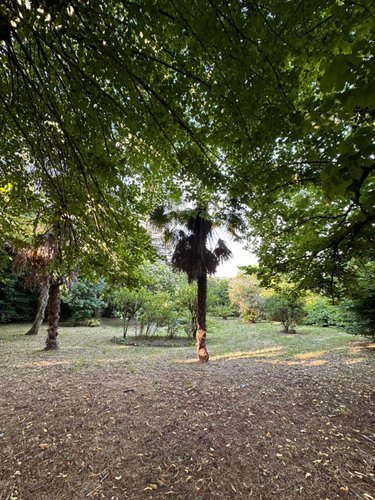 Maison a vendre Le Tourne 33550 Gironde 435 m2 15 pièces 400000 euros
