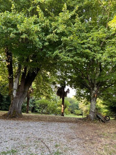 Maison a vendre Le Tourne 33550 Gironde 435 m2 15 pièces 400000 euros