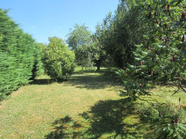 Maison a vendre Saules 71390 Saône-et-Loire 116 m2 4 pièces 185000 euros