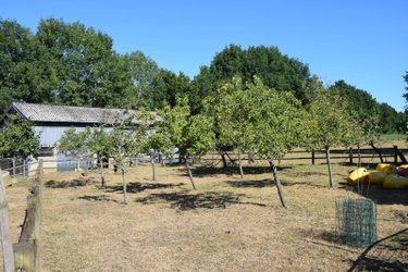 propriete a vendre Ambrières-les-Vallées 53300 Mayenne 150 m2 6 pièces 216320 euros