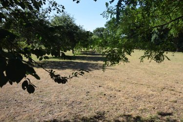 propriete a vendre Ambrières-les-Vallées 53300 Mayenne 150 m2 6 pièces 216320 euros