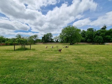propriete a vendre Marcigny 71110 Saône-et-Loire 276 m2 10 pièces 572000 euros