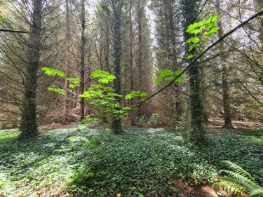 Maison a vendre Tressignaux 22290 Côtes-d'Armor 160 m2 8 pièces 396605 euros