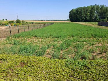 Terrain a batir a vendre Remies 02270 Aisne 2166 m2  64000 euros