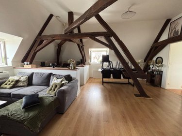Immeuble a vendre Ardentes 36120 Indre 374 m2  292700 euros
