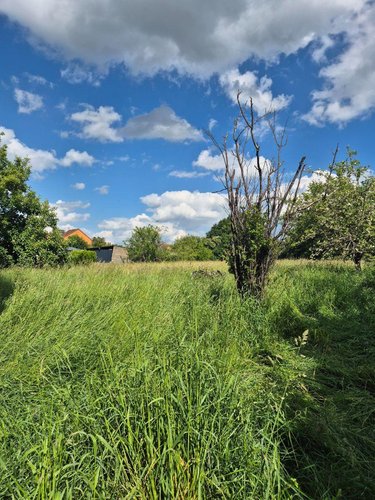 Maison a vendre Neuvy-Saint-Sépulchre 36230 Indre 70 m2 5 pièces 84000 euros
