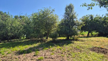 Maison a vendre Gorron 53120 Mayenne 55 m2 2 pièces 42400 euros