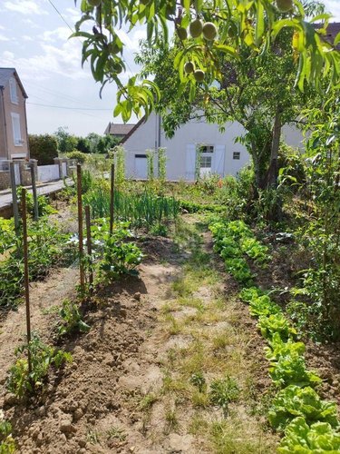 Maison a vendre La Châtre 36400 Indre 4 pièces 82680 euros