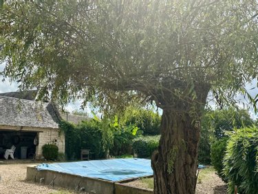 Maison a vendre Avoine 37420 Indre-et-Loire 225 m2 4 pièces 242900 euros