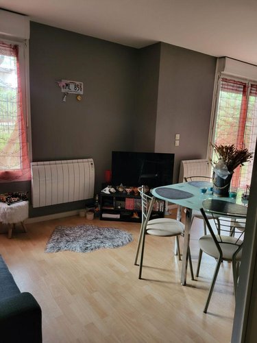 Location appartement Mâcon 71000 Saône-et-Loire 45 m2 2 pièces 470 euros