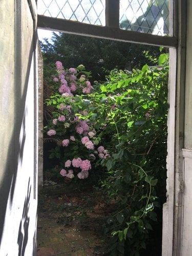 Maison a vendre Bergues 59380 Nord 131 m2 6 pièces 239500 euros