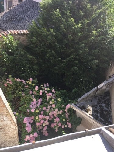 Maison a vendre Bergues 59380 Nord 131 m2 6 pièces 239500 euros
