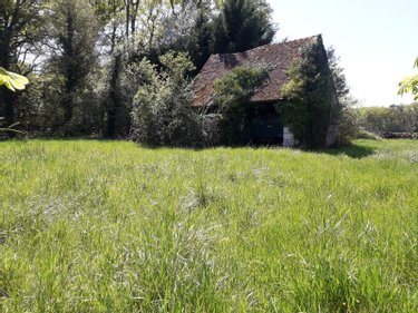 Maison a vendre Choussy 41700 Loir-et-Cher 40 m2  46410 euros