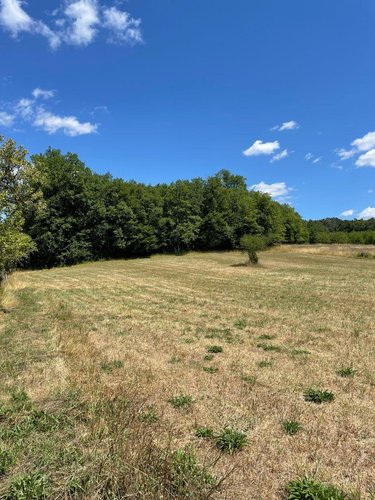 Maison a vendre Savignac-les-Églises 24420 Dordogne 73 m2 4 pièces 86400 euros