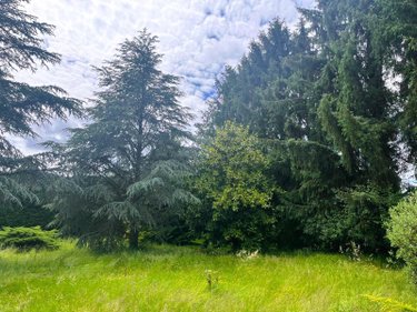 Maison a vendre Guilliers 56490 Morbihan 150 m2 4 pièces 197024 euros