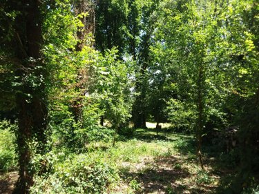 Maison a vendre Chémery 41700 Loir-et-Cher 250 m2 5 pièces 384250 euros