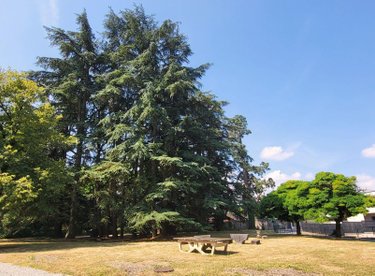 Appartement a vendre La Ravoire 73490 Savoie 18 m2 1 pièce 115000 euros