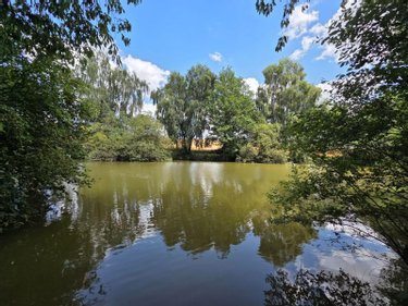 Terrains de loisirs bois etangs a vendre Villaines-la-Juhel 53700 Mayenne 8810 m2  31800 euros