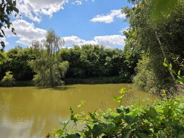 Terrains de loisirs bois etangs a vendre Villaines-la-Juhel 53700 Mayenne 8810 m2  31800 euros