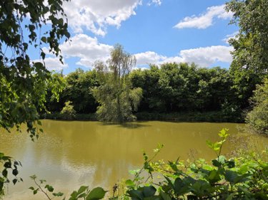 Terrains de loisirs bois etangs a vendre Villaines-la-Juhel 53700 Mayenne 8810 m2  31800 euros