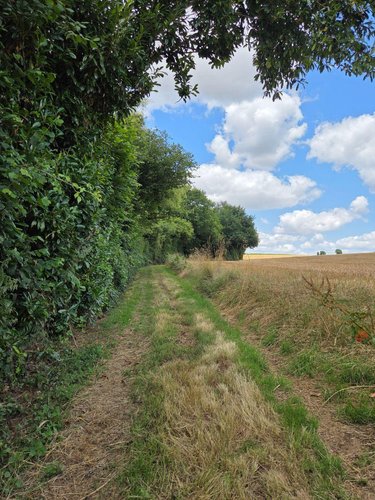 Terrains de loisirs bois etangs a vendre Villaines-la-Juhel 53700 Mayenne 8810 m2  31800 euros