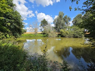 Terrains de loisirs bois etangs a vendre Villaines-la-Juhel 53700 Mayenne 8810 m2  31800 euros