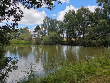 Terrains de loisirs bois etangs a vendre Villaines-la-Juhel 53700 Mayenne 8810 m2  31800 euros