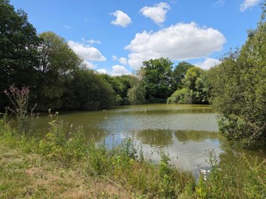 Terrains de loisirs bois etangs a vendre Villaines-la-Juhel 53700 Mayenne 8810 m2  31800 euros