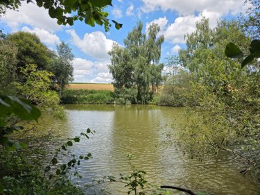 Terrains de loisirs bois etangs a vendre Villaines-la-Juhel 53700 Mayenne 8810 m2  31800 euros