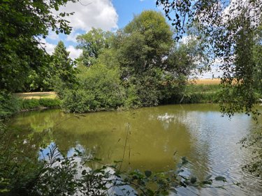 Terrains de loisirs bois etangs a vendre Villaines-la-Juhel 53700 Mayenne 8810 m2  31800 euros