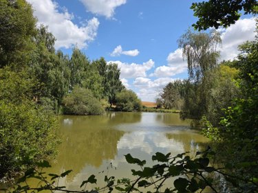 Terrains de loisirs bois etangs a vendre Villaines-la-Juhel 53700 Mayenne 8810 m2  31800 euros