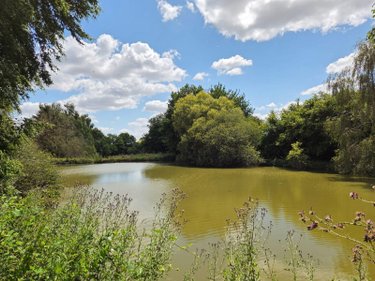 Terrains de loisirs bois etangs a vendre Villaines-la-Juhel 53700 Mayenne 8810 m2  31800 euros