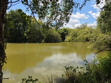 Terrains de loisirs bois etangs a vendre Villaines-la-Juhel 53700 Mayenne 8810 m2  31800 euros