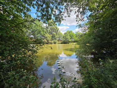 Terrains de loisirs bois etangs a vendre Villaines-la-Juhel 53700 Mayenne 8810 m2  31800 euros