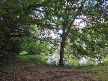 Terrains de loisirs bois etangs a vendre Villaines-la-Juhel 53700 Mayenne 8810 m2  31800 euros