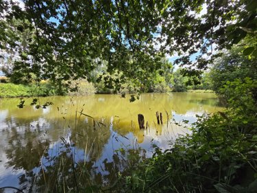 Terrains de loisirs bois etangs a vendre Villaines-la-Juhel 53700 Mayenne 8810 m2  31800 euros