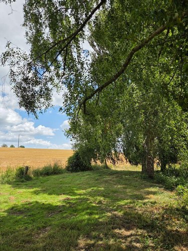 Terrains de loisirs bois etangs a vendre Villaines-la-Juhel 53700 Mayenne 8810 m2  31800 euros