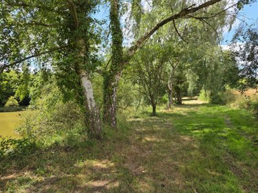 Terrains de loisirs bois etangs a vendre Villaines-la-Juhel 53700 Mayenne 8810 m2  31800 euros