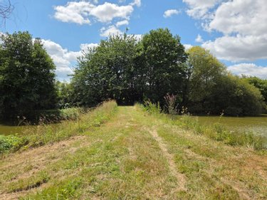 Terrains de loisirs bois etangs a vendre Villaines-la-Juhel 53700 Mayenne 8810 m2  31800 euros