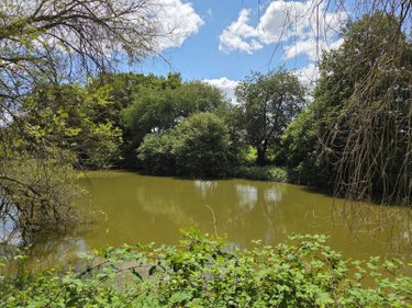 Terrains de loisirs bois etangs a vendre Villaines-la-Juhel 53700 Mayenne 8810 m2  31800 euros