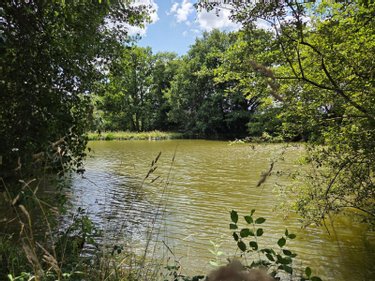 Terrains de loisirs bois etangs a vendre Villaines-la-Juhel 53700 Mayenne 8810 m2  31800 euros