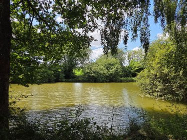 Terrains de loisirs bois etangs a vendre Villaines-la-Juhel 53700 Mayenne 8810 m2  31800 euros