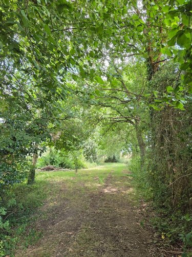 Terrains de loisirs bois etangs a vendre Villaines-la-Juhel 53700 Mayenne 8810 m2  31800 euros