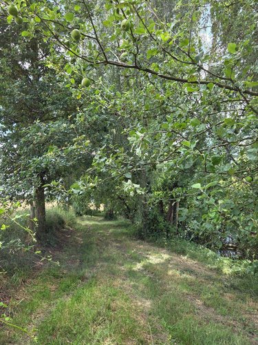 Terrains de loisirs bois etangs a vendre Villaines-la-Juhel 53700 Mayenne 8810 m2  31800 euros