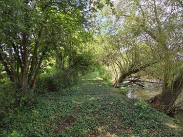 Terrains de loisirs bois etangs a vendre Villaines-la-Juhel 53700 Mayenne 8810 m2  31800 euros