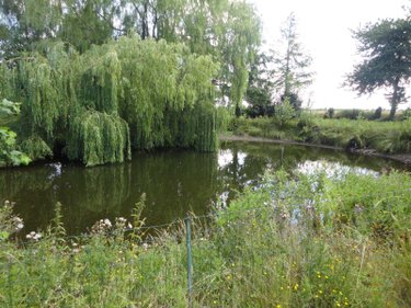 Maison a vendre Méteren 59270 Nord 114 m2 4 pièces 342000 euros